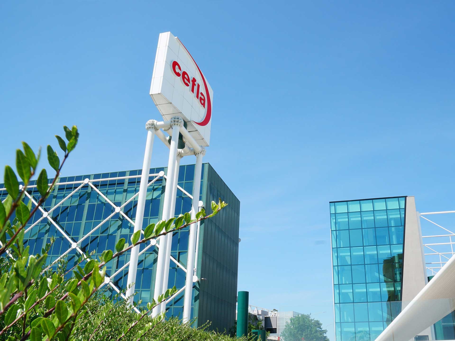 bg-cefla