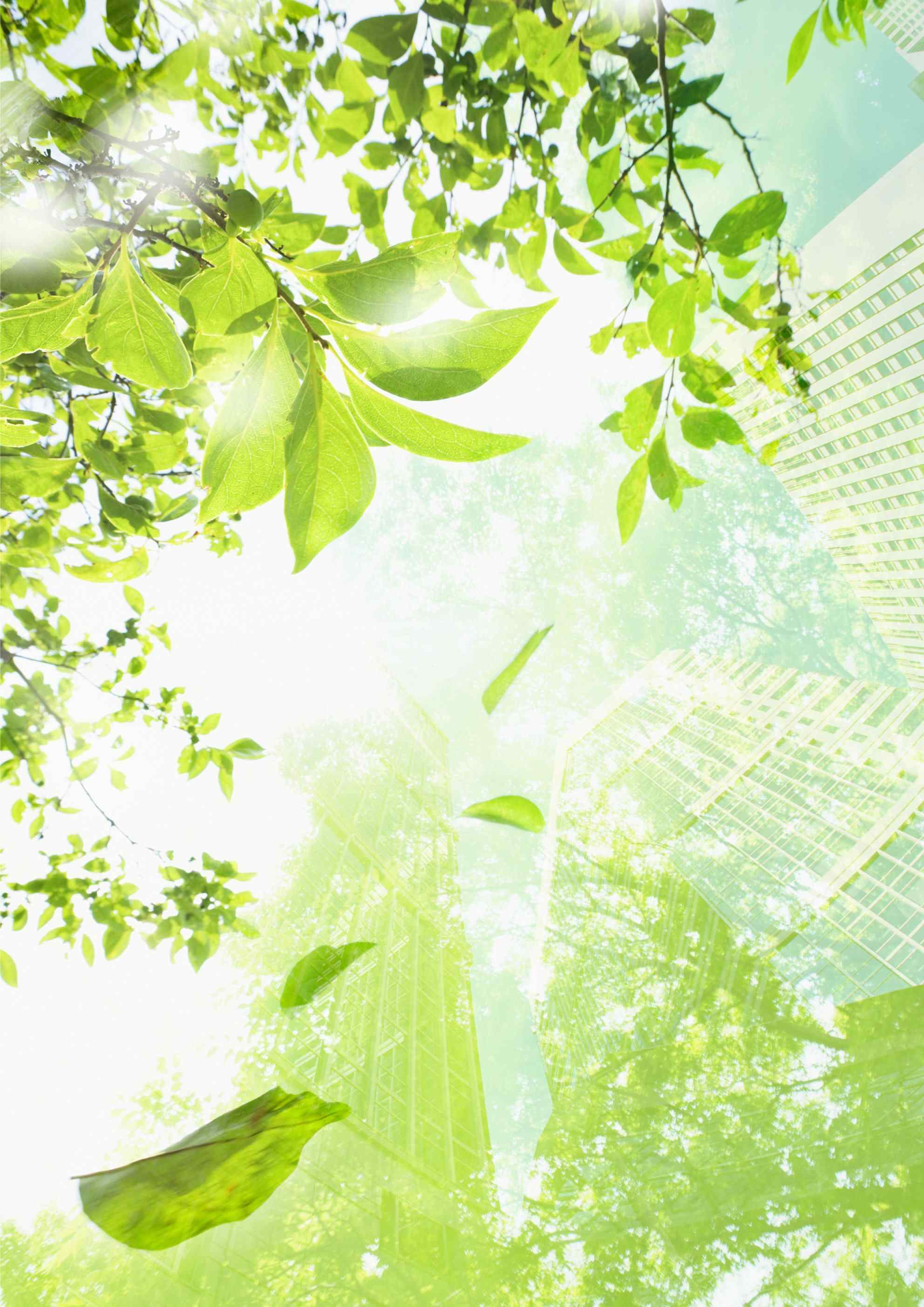 Prefooter background