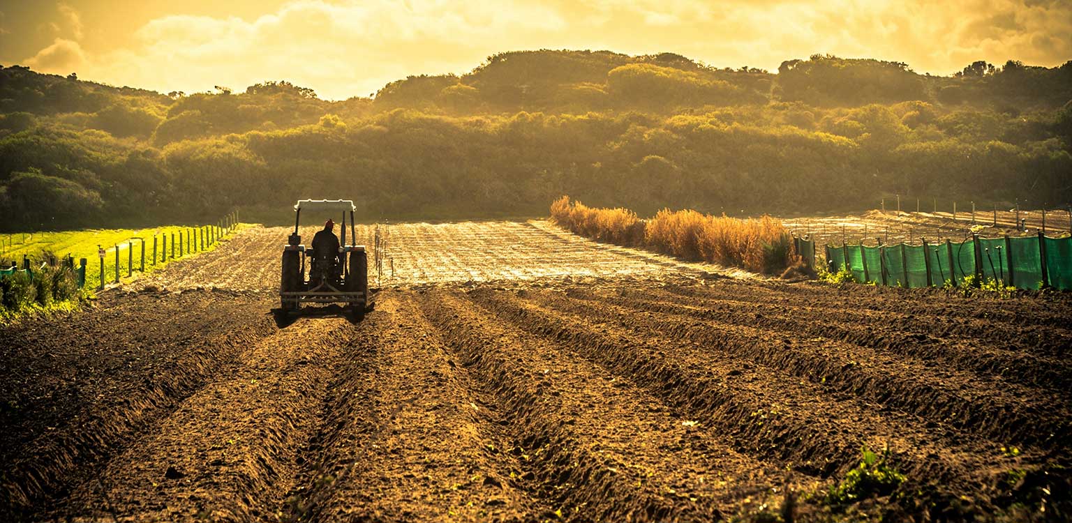 Cefla partecipa ad Agribiogas 2025